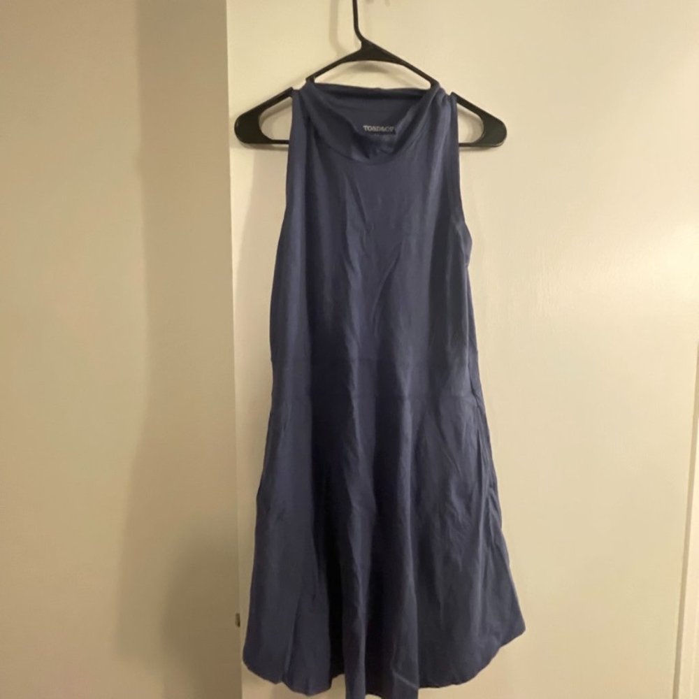 Toad & Co Navy Mock Neck dress